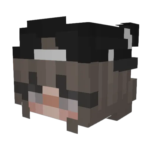 LeSelina Minecraft avatar head, 3D render
