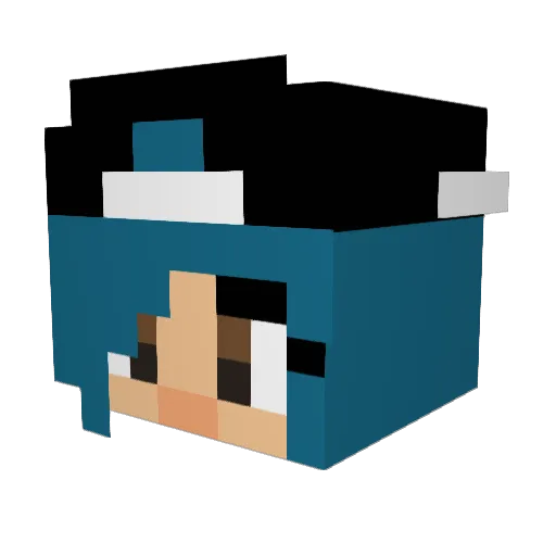 LeShriniX Minecraft avatar head, 3D render