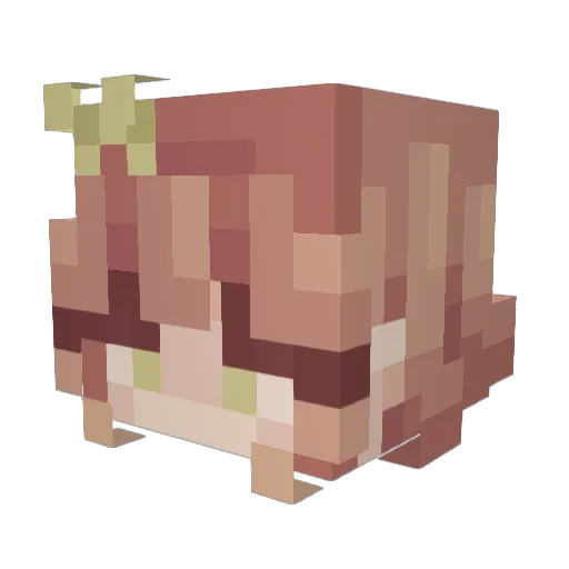 LeStarfy Minecraft avatar head, 3D render