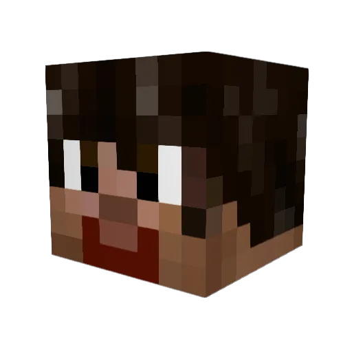 LeStorms Minecraft avatar head, 3D render