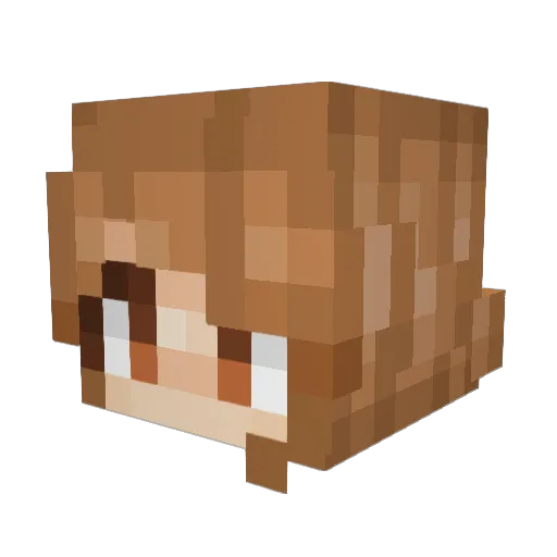 LeTacooo Minecraft avatar head, 3D render