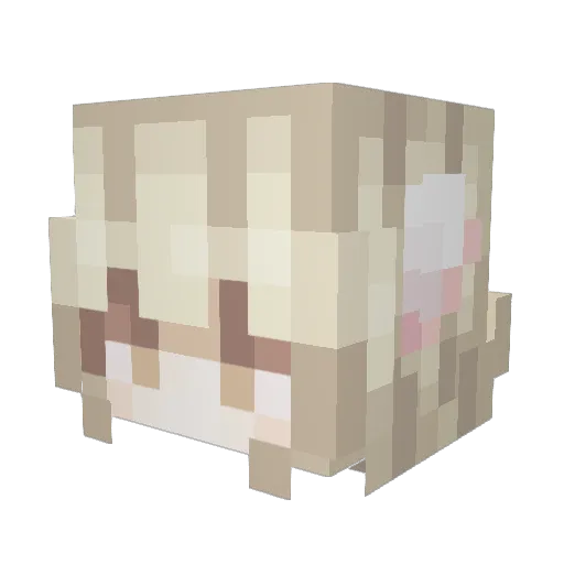 LeTaterTot Minecraft avatar head, 3D render