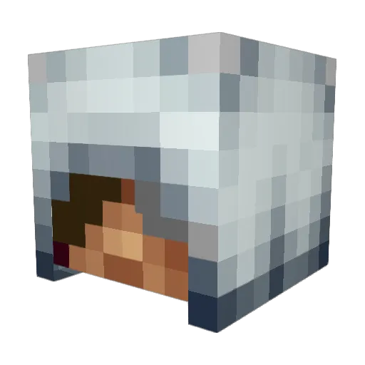 LeTiger19 Minecraft avatar head, 3D render