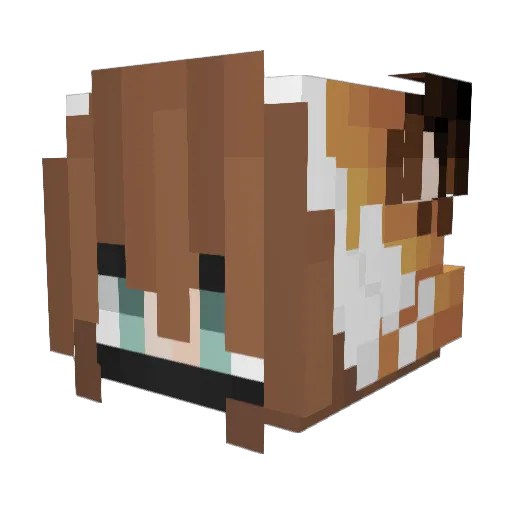 LeTurk Minecraft avatar head, 3D render