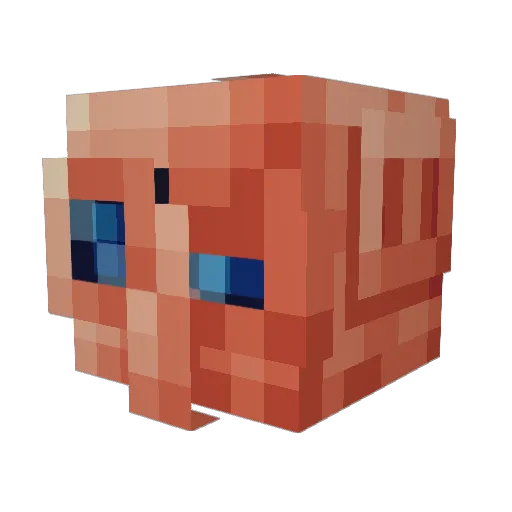LeValli Minecraft avatar head, 3D render