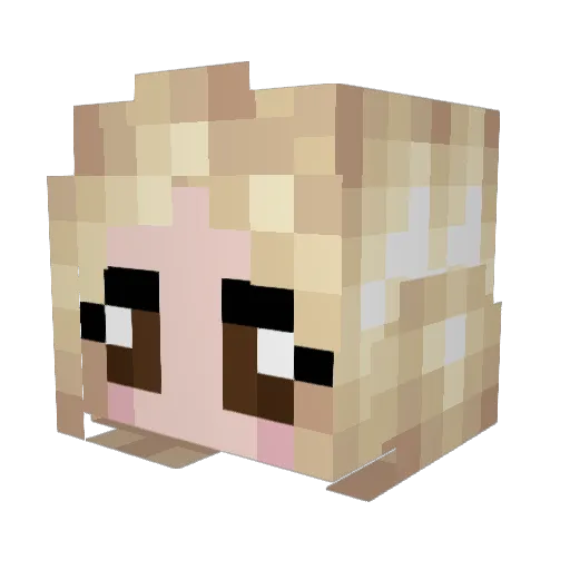 Le_Bouyou Minecraft avatar head, 3D render
