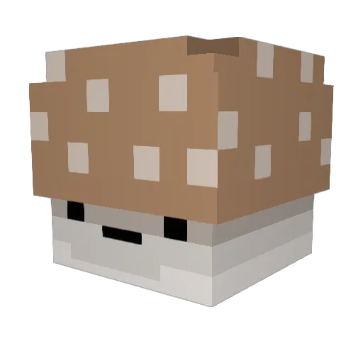 Le_Bred_ Minecraft avatar head, 3D render