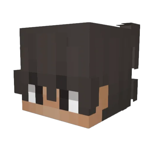Le_Cyborg Minecraft avatar head, 3D render