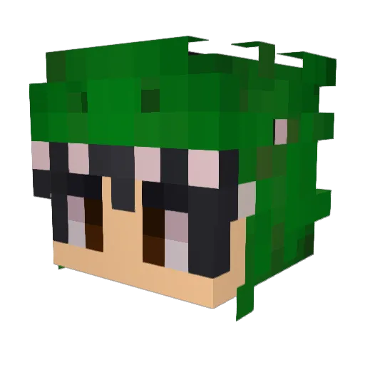 Le_Patron_Fr Minecraft avatar head, 3D render