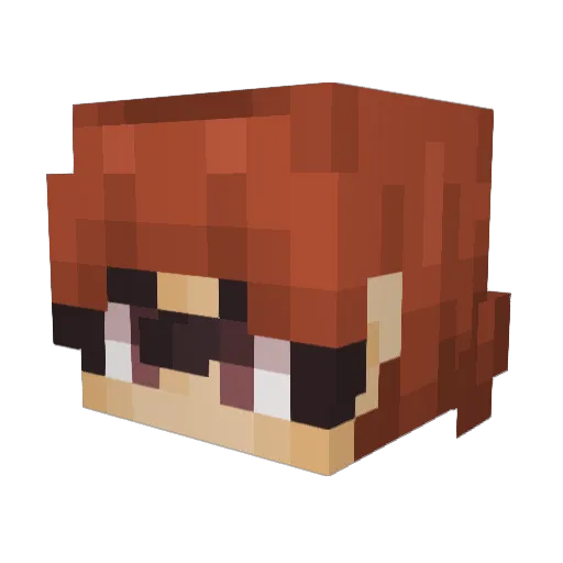 Le_R0B Minecraft avatar head, 3D render
