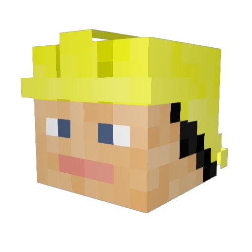 Le_Rhone Minecraft avatar head, 3D render