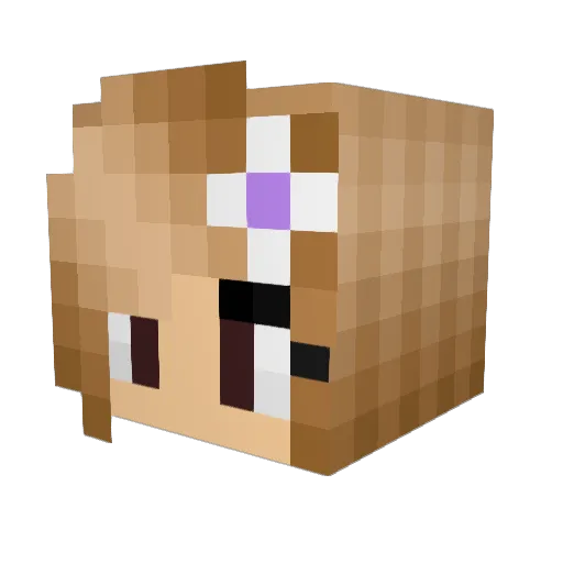 Le_Sondre Minecraft avatar head, 3D render