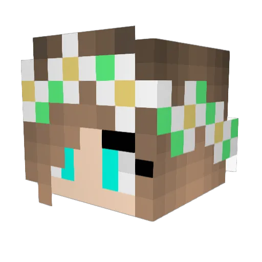 Le__aaa Minecraft avatar head, 3D render
