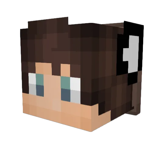 Le_bar Minecraft avatar head, 3D render