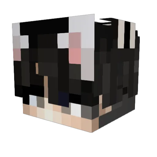 Le_icy Minecraft avatar head, 3D render