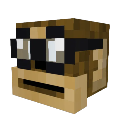 Le_sinj Minecraft avatar head, 3D render