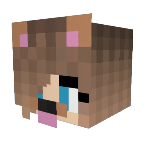 Lea203 Minecraft avatar head, 3D render