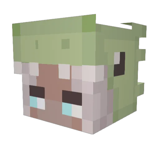 LeaErKul Minecraft avatar head, 3D render