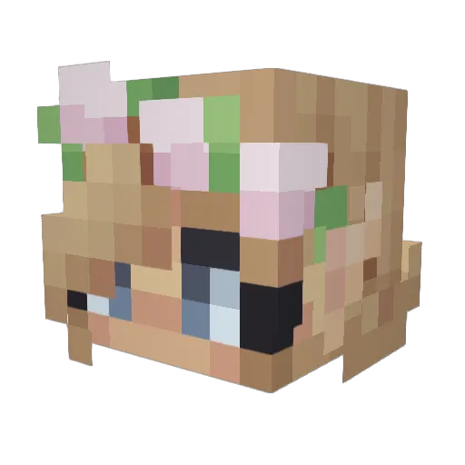 LeaLunaBienchen Minecraft avatar head, 3D render