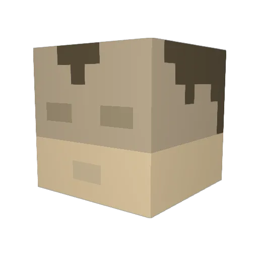 LeaRRRRRR Minecraft avatar head, 3D render