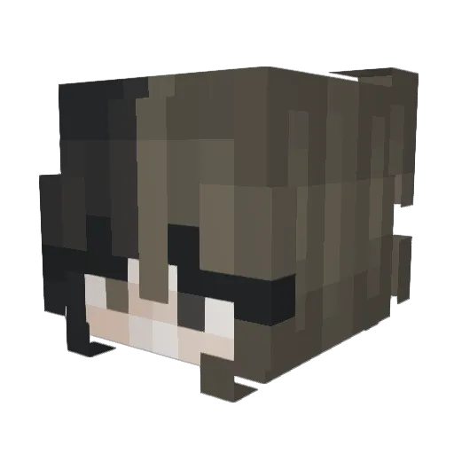 Lea_200 Minecraft avatar head, 3D render