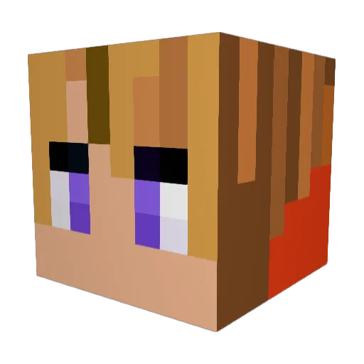 Lea_lp11 Minecraft avatar head, 3D render