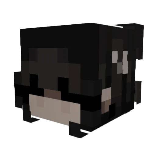 Leabutcool Minecraft avatar head, 3D render