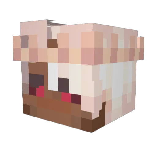 LeaderDad Minecraft avatar head, 3D render