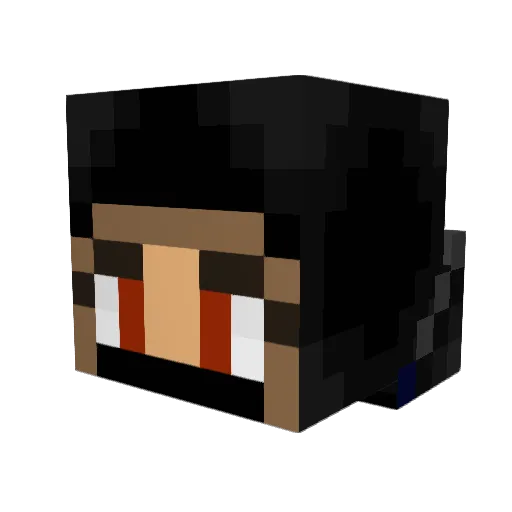 Leaderofthecats Minecraft avatar head, 3D render