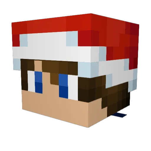 Leaders Minecraft avatar head, 3D render