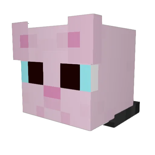 Leads23 Minecraft avatar head, 3D render