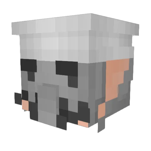 LeafLover89 Minecraft avatar head, 3D render