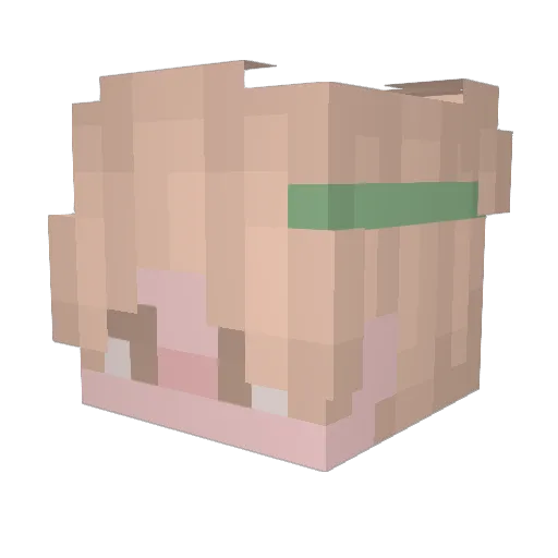 LeafSomeForMe Minecraft avatar head, 3D render