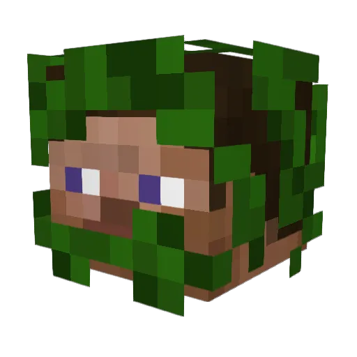 Leafh Minecraft avatar head, 3D render