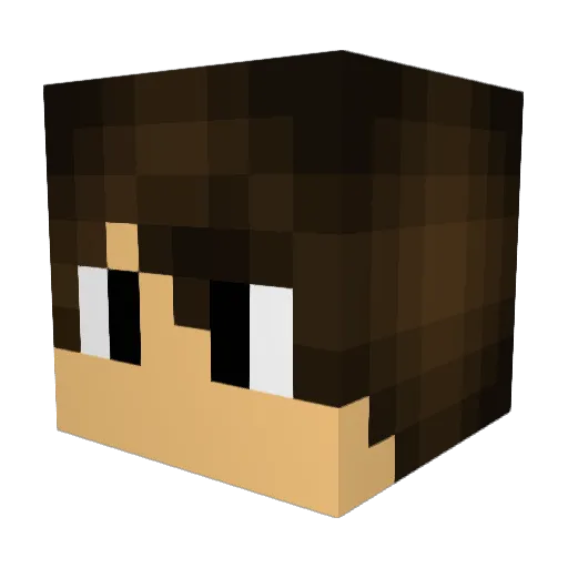 Leafninjajr Minecraft avatar head, 3D render