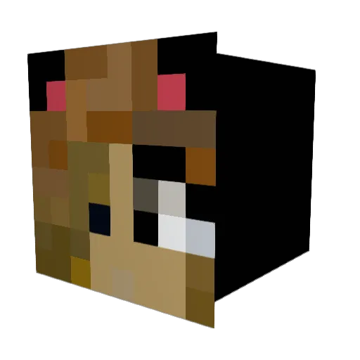 Leafstar27 Minecraft avatar head, 3D render