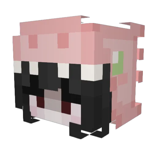 Leafxie Minecraft avatar head, 3D render