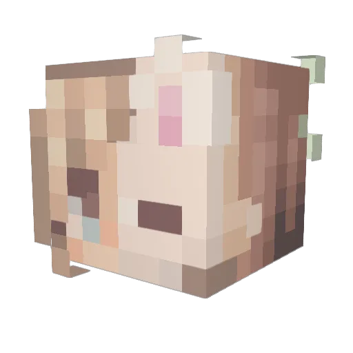 LeafyBunnie Minecraft avatar head, 3D render