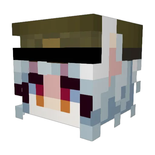 LeafyFirefly Minecraft avatar head, 3D render