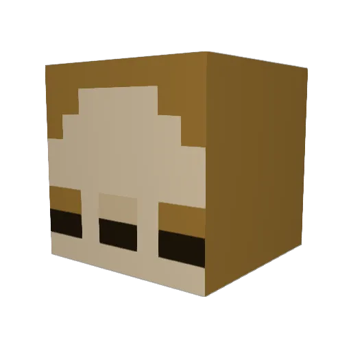 LeafyWhale Minecraft avatar head, 3D render