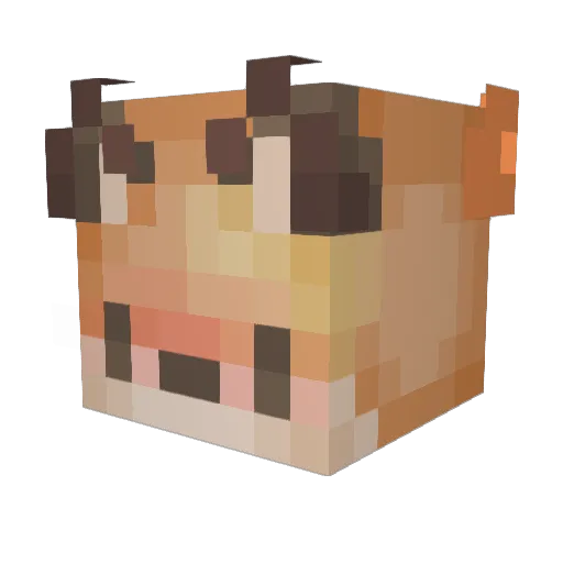 LeafysNotHere Minecraft avatar head, 3D render