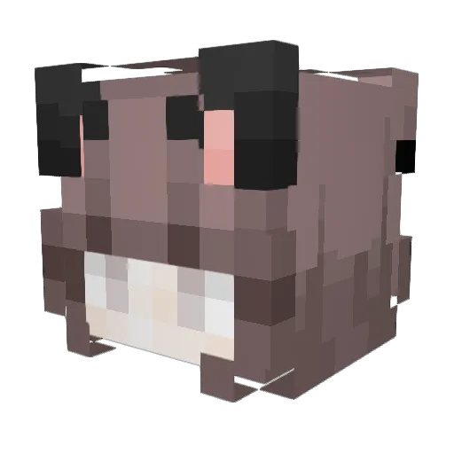 LeagueMaken Minecraft avatar head, 3D render