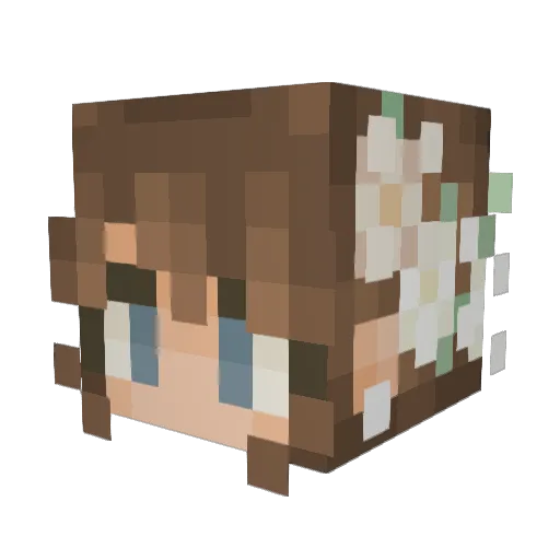 Leah010 Minecraft avatar head, 3D render