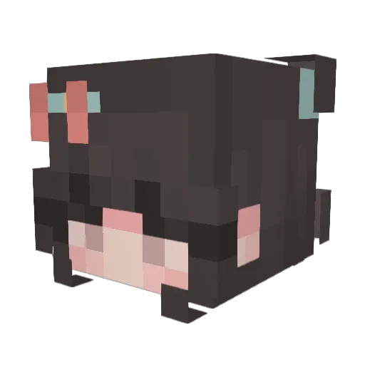 Leah1042 Minecraft avatar head, 3D render
