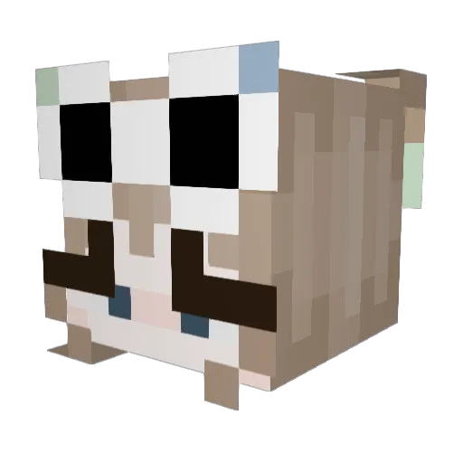 Leah713 Minecraft avatar head, 3D render
