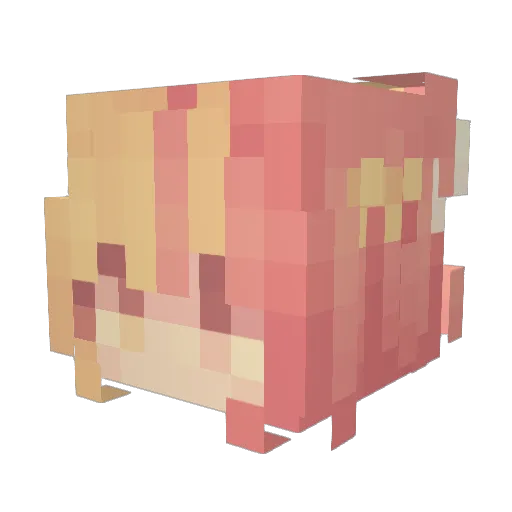 Leahh__ Minecraft avatar head, 3D render
