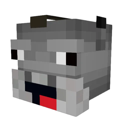 Leakywallo443 Minecraft avatar head, 3D render