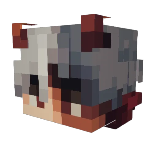 Leama5 Minecraft avatar head, 3D render
