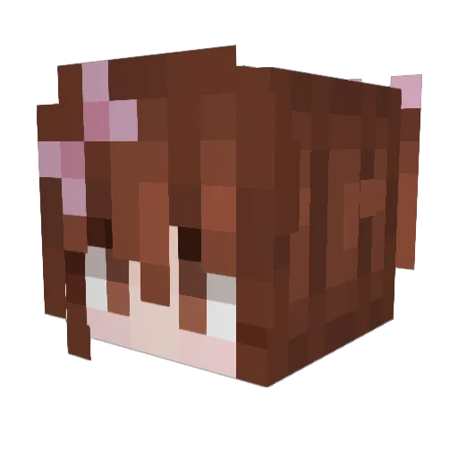 Leamlz2804 Minecraft avatar head, 3D render
