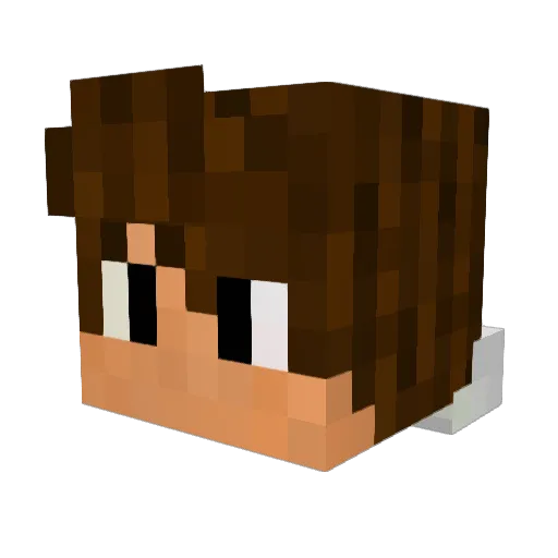 LeanAesthetics Minecraft avatar head, 3D render